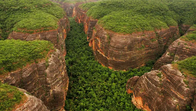 Organizadores da Semana da Mata Atlântica propõem criar nova reserva da biosfera