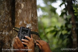 Kaapor People Set Up Cameras to Fight Amazon Destruction