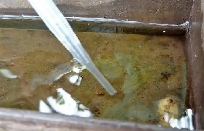 Casos de zika requerem combate ao Aedes aegypti
