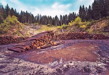 Seminário Internacional vai debater atuação do MP no Combate a Crimes Ambientais