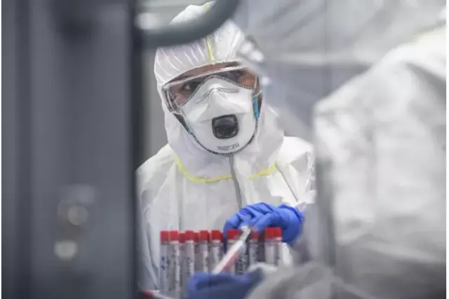 Detectada 1ª mutação significativa do novo coronavírus