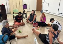 Espetáculo infantil leva ao palco a magia do Cerrado tocantinense, unindo arte, consciência ambiental e uma boa dose de humor