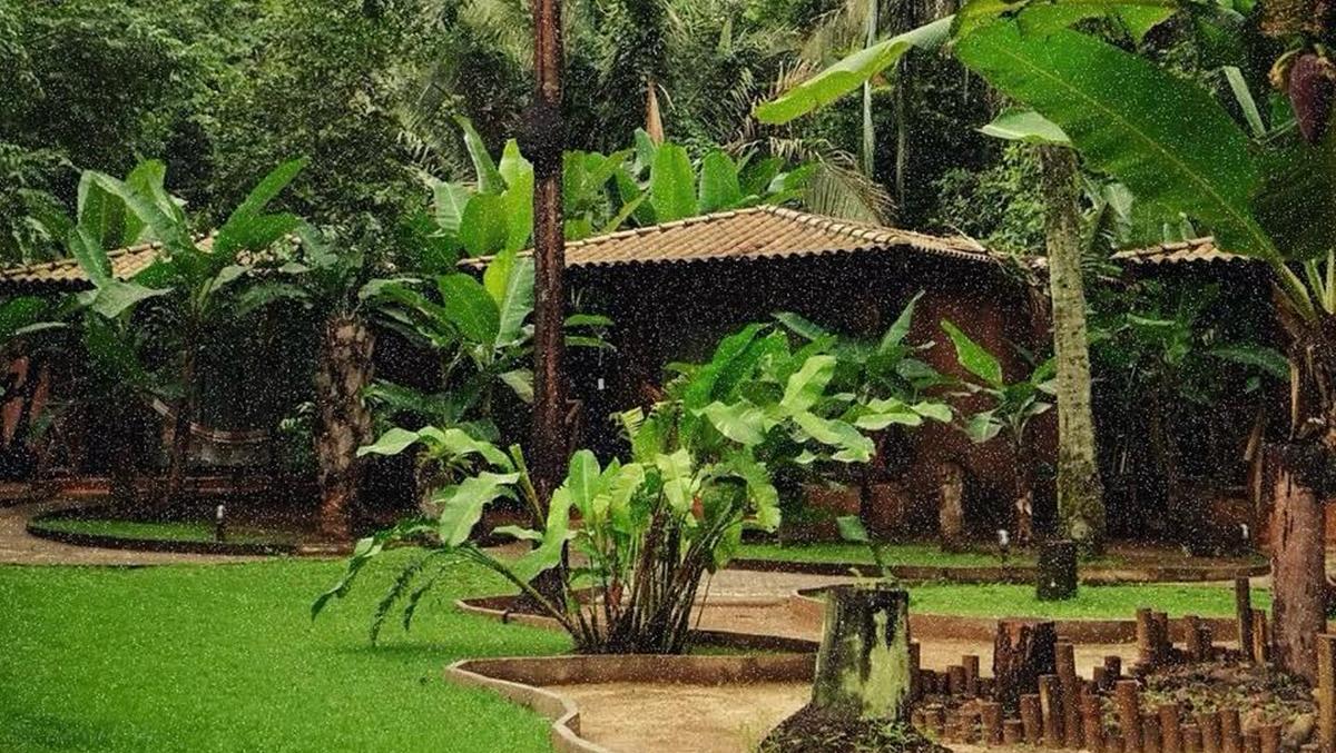 Mercado de bem-estar movimenta US$ 96 bilhões no Brasil e chega com força ao Tocantins