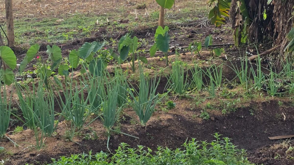 Movimentos sociais realizam Seminário de apresentação do PL de Agroecologia e Produção Orgânica do Tocantins