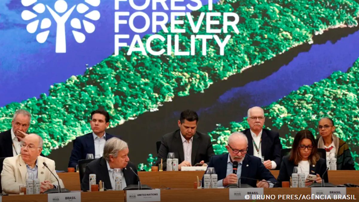 Fundo para florestas tropicais atinge aporte de US$ 5,5 bilhões