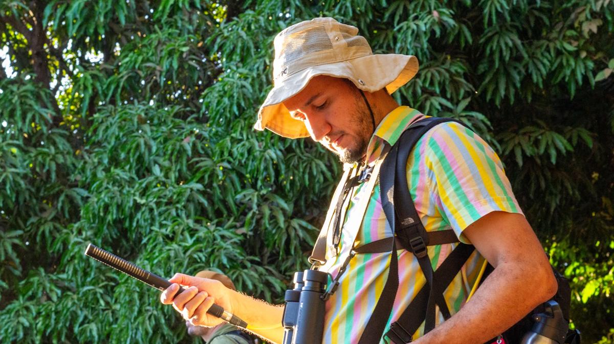 Lançamento do projeto “8 Cantos do Cesamar” transforma sons das aves de Palmas em música e chega às plataformas digitais na sexta-feira, 28