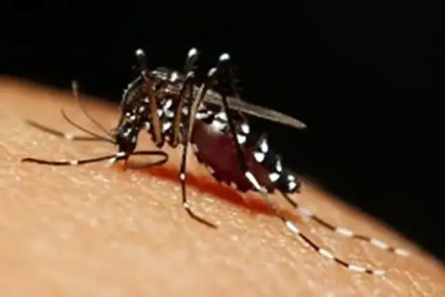 Dengue avança em Araguaína: Município registra 502 casos confirmados e três mortes