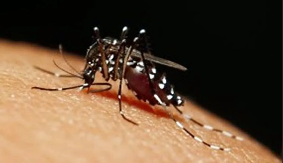 Dengue avança em Araguaína: Município registra 502 casos confirmados e três mortes