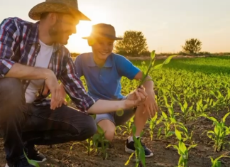 AMPROTINS lança associação voltada a microempreendedores e produtores rurais em Araguaína