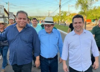 Apoio a Eduardo Gomes é interpretado como estratégia de sobrevivência política do grupo Dimas