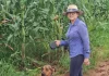Mulher no agro: trajetória de produtora no Tocantins destaca protagonismo feminino no cooperativismo