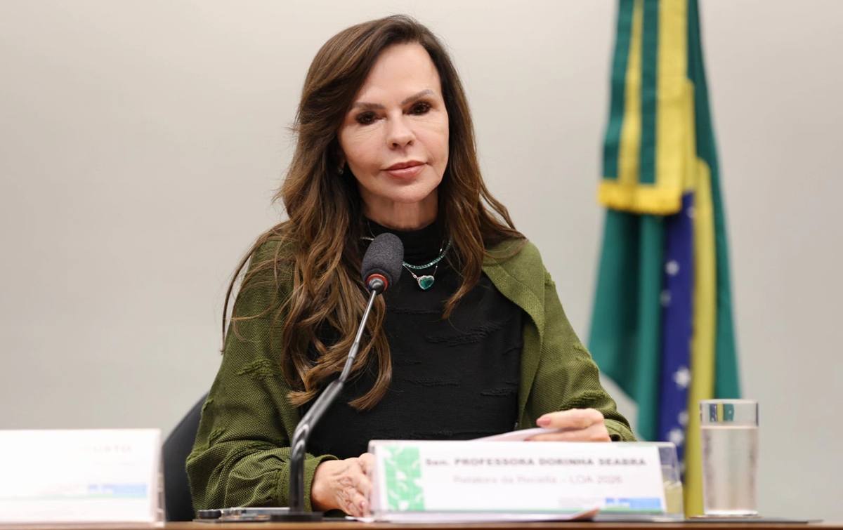 Em entrevista exclusiva, Dorinha fala sobre economia, eleições e os desafios para governar o Tocantins