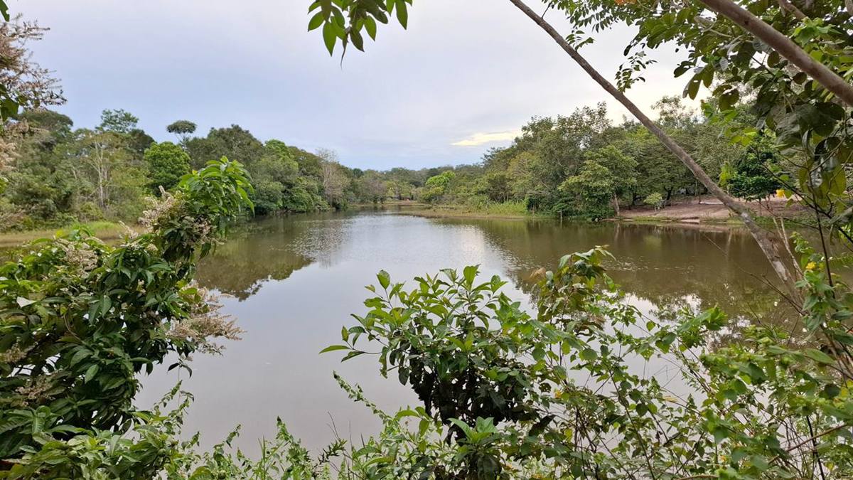 Audiência pública sobre o Plano de Manejo da APA Nascentes de Araguaína ocorre nesta terça-feira, 11