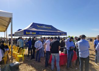 Frísia avalia potencial da mamona para diversificação agrícola no Tocantins