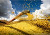 Brasil registra safra recorde de 345,4 milhões de toneladas e valor da produção agrícola chega a R$ 927,2 bilhões em 2025